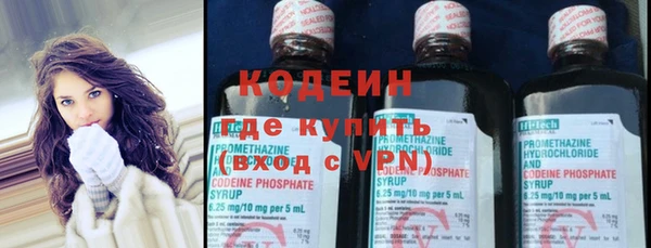 ПСИЛОЦИБИНОВЫЕ ГРИБЫ Вяземский