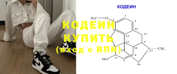 ПСИЛОЦИБИНОВЫЕ ГРИБЫ Вяземский