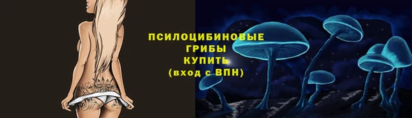 спиды Вязьма