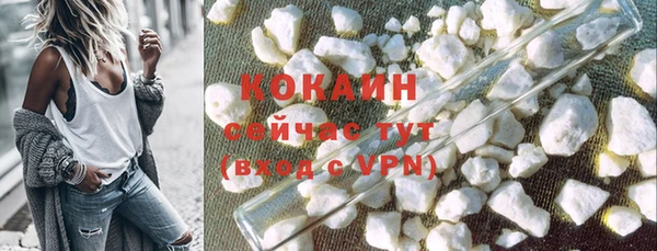 ПСИЛОЦИБИНОВЫЕ ГРИБЫ Вяземский