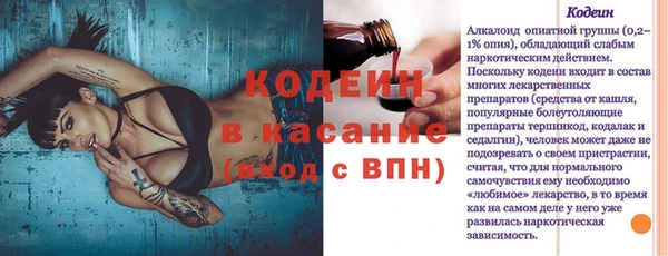 ПСИЛОЦИБИНОВЫЕ ГРИБЫ Вяземский