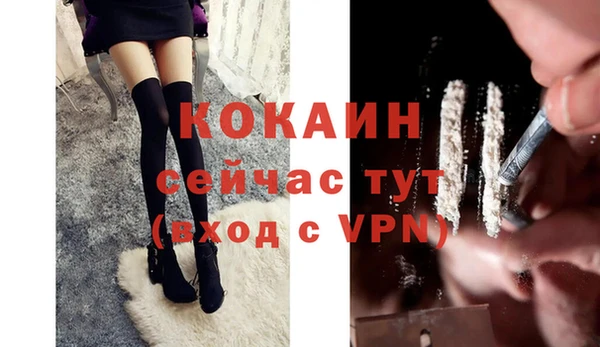 ПСИЛОЦИБИНОВЫЕ ГРИБЫ Вяземский