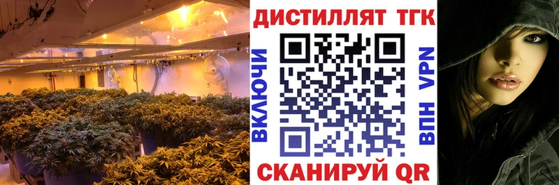 ТГК Wax  Купить где  Каменск-Уральский 